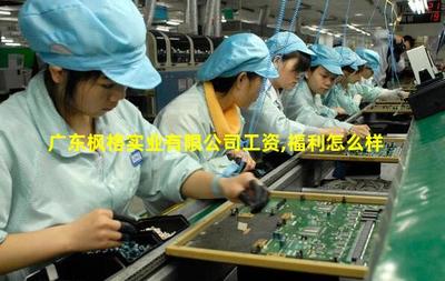 广东枫格实业 专注针纺织品及原料销售的专业供应商